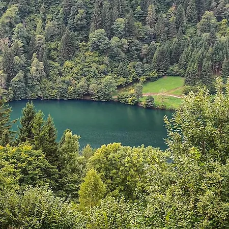 Im Erdgeschoss Afritz